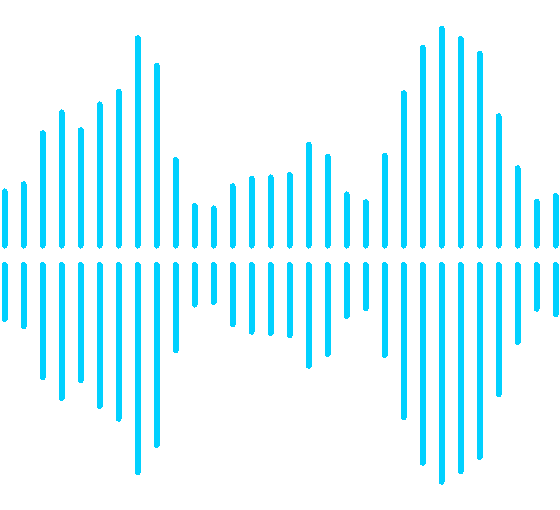 Sound wave off icon
                                                
