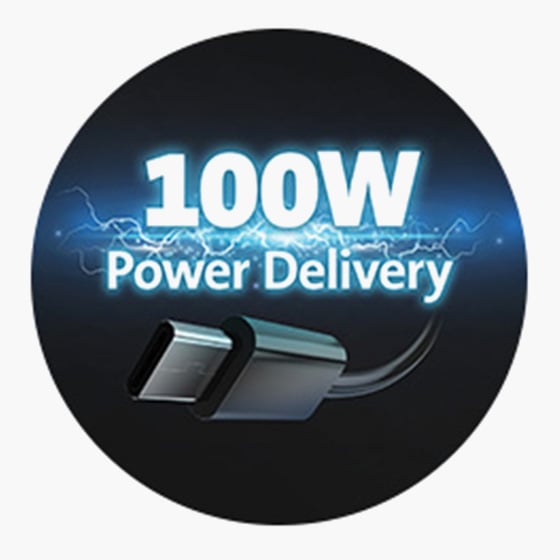 100W power delivery.